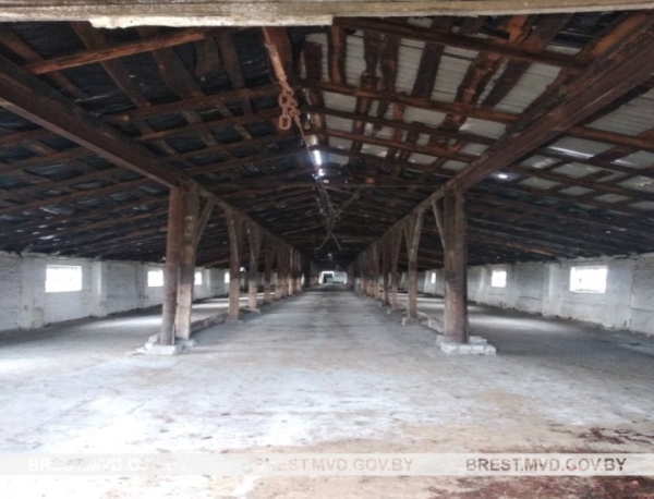 Четырех человек подозревают в хищении КРС в хозяйстве Березовского района Четырех человек подозревают в хищении КРС в хозяйстве Березовского района