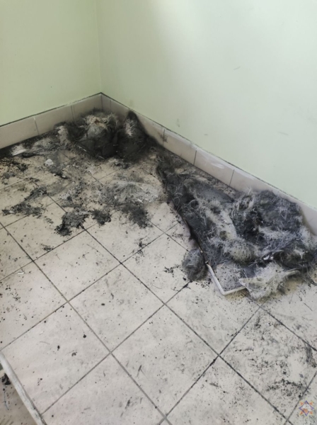 Акриловая ванна загорелась между этажами многоэтажки в Бобруйске