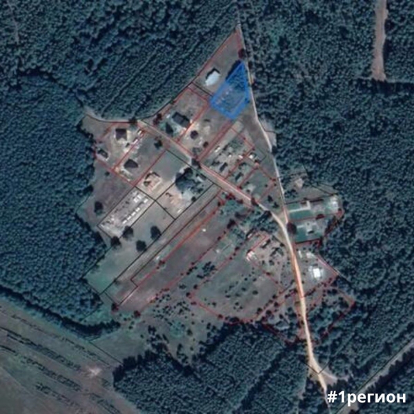 Участок в Беловежской пуще ушел с молотка за рекордную цену Участок в Беловежской пуще ушел с молотка за рекордную цену