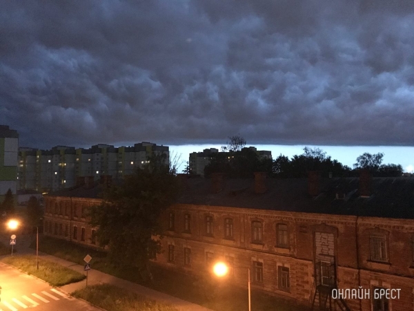 Максимальная скорость ветра этой зимы зарегистрирована в Бресте - 24 м/с