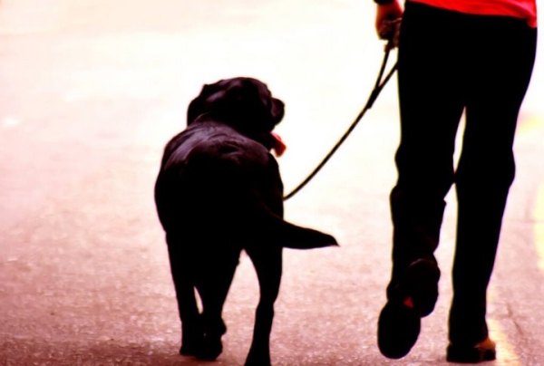 Тест на человечность. Почему отвечать за беспризорников должна жительница Каменецкого района? Тест на человечность. Почему отвечать за беспризорников должна жительница Каменецкого района?