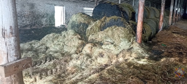 Более 90 тонн сена спасли работники МЧС и хозяйства на пожаре в Столинском районе Более 90 тонн сена спасли работники МЧС и хозяйства на пожаре в Столинском районе