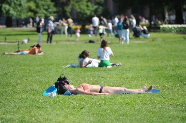 Можно ли загорать в городском парке? Можно ли загорать в городском парке?