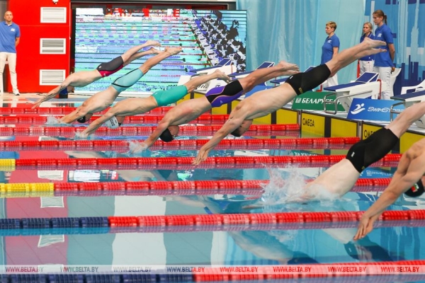 Более 300 пловцов из Беларуси и России соревнуются в Бресте Более 300 пловцов из Беларуси и России соревнуются в Бресте