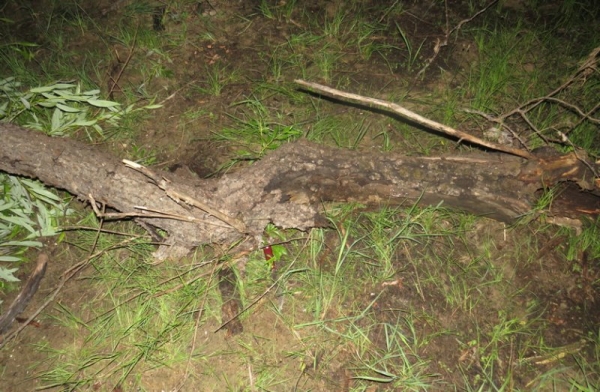 В Мозыре конфликт из-за «клевого места» привел к убийству рыбака