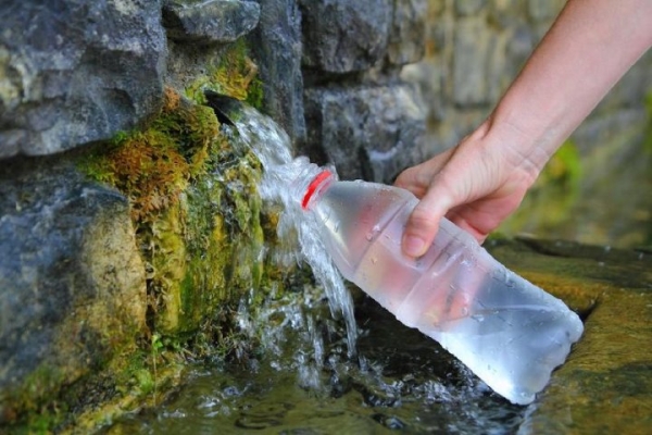 Из какого родника в Каменецком районе можно набрать воды?