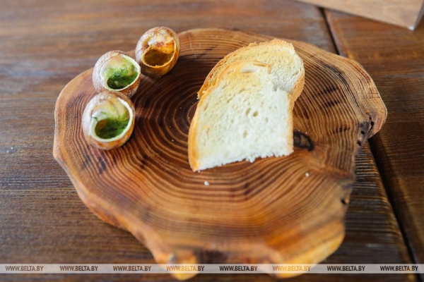 Устроить гонки и попробовать деликатесы предлагают туристам на улиточной ферме в Брестском районе Устроить гонки и попробовать деликатесы предлагают туристам на улиточной ферме в Брестском районе