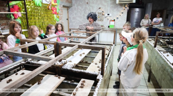 Устроить гонки и попробовать деликатесы предлагают туристам на улиточной ферме в Брестском районе Устроить гонки и попробовать деликатесы предлагают туристам на улиточной ферме в Брестском районе