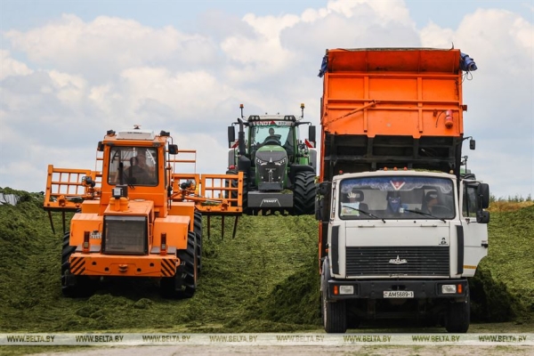 Высокотехнологичный молочно-товарный комплекс на 1 тыс. голов открыли в Пружанском районе