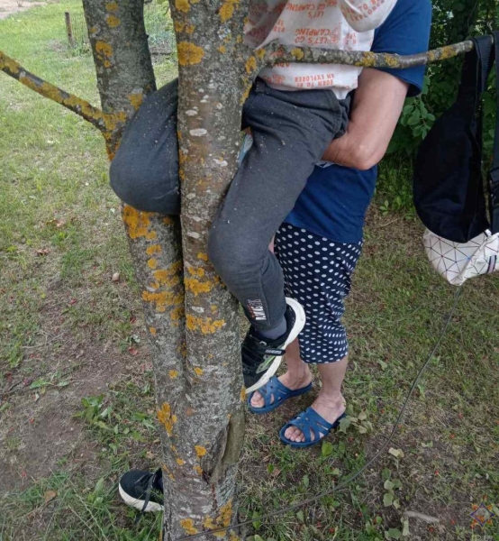 Нога мальчика застряла в дереве: помогли спасатели Нога мальчика застряла в дереве: помогли спасатели