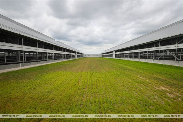 Высокотехнологичный молочно-товарный комплекс на 1 тыс. голов открыли в Пружанском районе