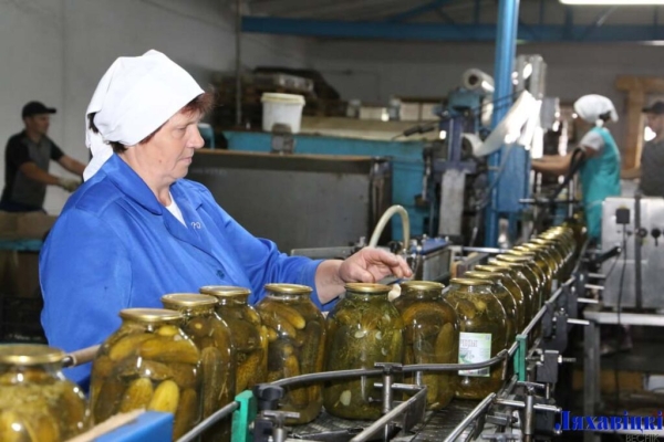 Глядзіце, як на Ляхавіцкім кансервавым заводзе закручваюць маласольныя агуркі