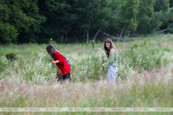 «Хочется больше народных праздников». Шумно и весело отметили Купалье в Беловежской пуще «Хочется больше народных праздников». Шумно и весело отметили Купалье в Беловежской пуще