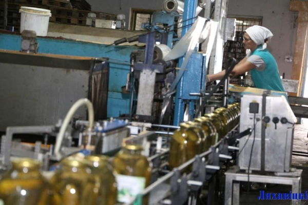 Глядзіце, як на Ляхавіцкім кансервавым заводзе закручваюць маласольныя агуркі