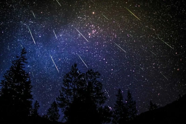 До 100 звезд в час: белорусы могут увидеть звездопад в ночь на 13 августа До 100 звезд в час: белорусы могут увидеть звездопад в ночь на 13 августа
