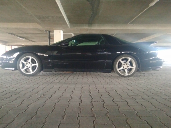 Показываем два редких Pontiac Firebird, которые есть в Беларуси