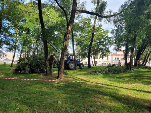 Настоящая стихия прошлась ночью по Бресту