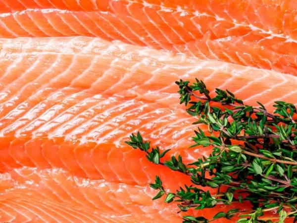 По документам — древесный уголь. Россияне задержали на границе с Беларусью 17 тонн лосося По документам — древесный уголь. Россияне задержали на границе с Беларусью 17 тонн лосося