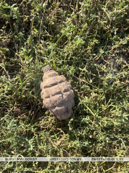 В Барановичском районе нашли более 40 гранат времен Первой мировой войны В Барановичском районе нашли более 40 гранат времен Первой мировой войны