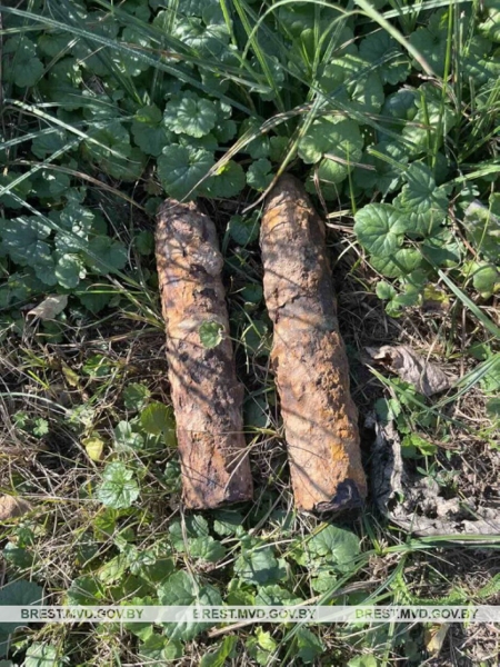 В Барановичском районе нашли более 40 гранат времен Первой мировой войны В Барановичском районе нашли более 40 гранат времен Первой мировой войны