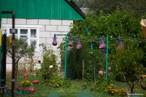 «Сосед-атомщик получил 7000 рублей». Чем живет Островец, который обогнал Минск по средней зарплате «Сосед-атомщик получил 7000 рублей». Чем живет Островец, который обогнал Минск по средней зарплате