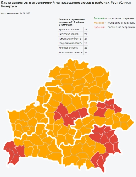 В Брестском районе введен запрет на посещение лесов