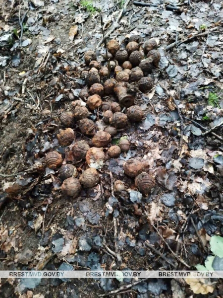 В Барановичском районе нашли более 40 гранат времен Первой мировой войны В Барановичском районе нашли более 40 гранат времен Первой мировой войны