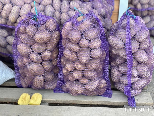 Более 100 сельскохозяйственных ярмарок планируют провести осенью в Брестской области Более 100 сельскохозяйственных ярмарок планируют провести осенью в Брестской области