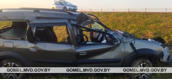 Встреча с лосем закончилась кюветом и реанимацией. А как нужно было поступать?