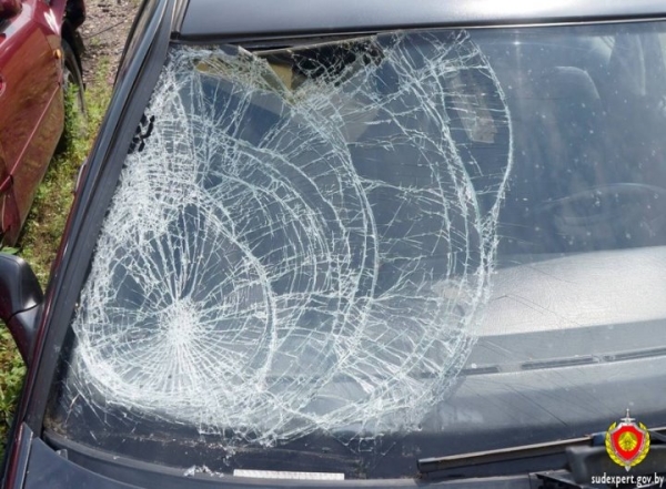 Водителя, сбившего велосипедиста, вычислили по осколкам фар и лобовика авто