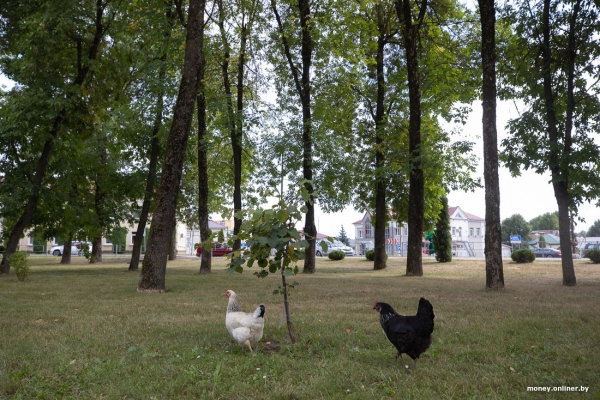 «Сосед-атомщик получил 7000 рублей». Чем живет Островец, который обогнал Минск по средней зарплате «Сосед-атомщик получил 7000 рублей». Чем живет Островец, который обогнал Минск по средней зарплате