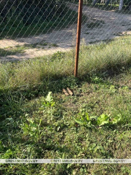 В Барановичском районе нашли более 40 гранат времен Первой мировой войны В Барановичском районе нашли более 40 гранат времен Первой мировой войны