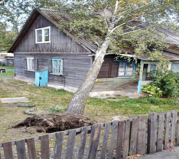 Смотрите, что натворила непогода на Брестчине