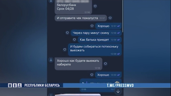 Мужчина из-за границы продавал в Беларуси машины. Просил предоплату и исчезал
