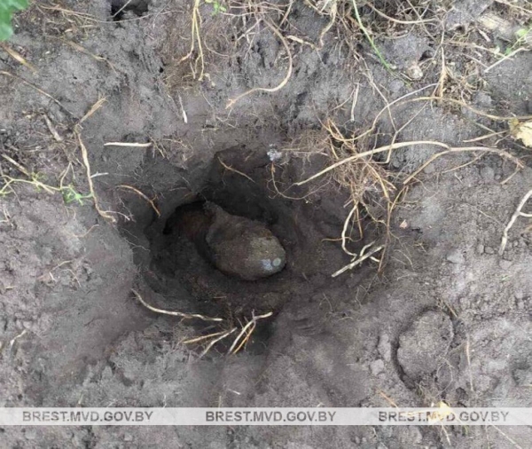 Житель деревни в Пинском районе обнаружил снаряд времен Великой Отечественной войны