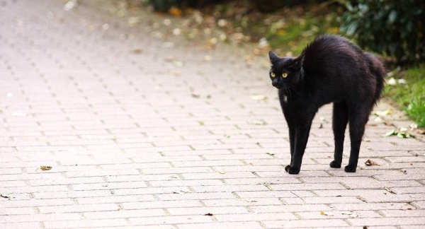 Что означает пятница 13-е? История и традиции страшного дня