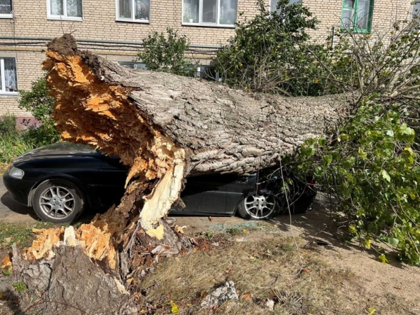 Смотрите, что натворила непогода на Брестчине