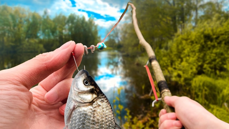 Трагедия на Зароновском озере: пенсионер найден мертвым во время рыбалки
Трагедия на Зароновском озере: пенсионер найден мертвым во время рыбалки