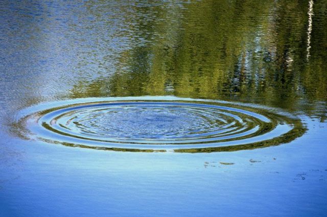 Трагедии на водоёмах Витебщины: четвёро погибших, двое спасены во время рыбалки
Трагедии на водоёмах Витебщины: четвёро погибших, двое спасены во время рыбалки