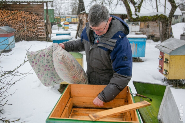 «Летом здесь гул — как на аэродроме». Семья переехала из столицы в старый дом в глухой деревне — и не жалеет
