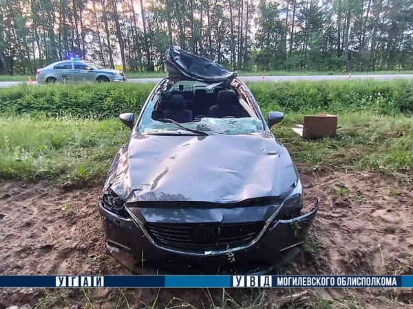 В Беларуси легковушка встретилась с лосем В Беларуси легковушка встретилась с лосем