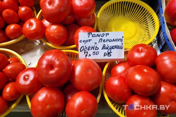 На минских рынках появились столинские огурцы – почем продают