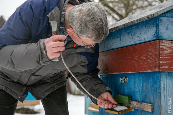 «Летом здесь гул — как на аэродроме». Семья переехала из столицы в старый дом в глухой деревне — и не жалеет