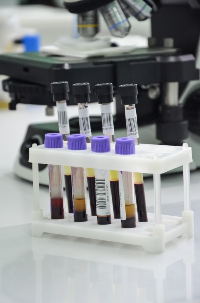 «ГОД СЕМЬИ» в ЛОДЭ. Обследования всей семьей в медцентре стали еще более доступными