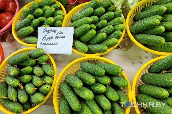 На минских рынках появились столинские огурцы – почем продают